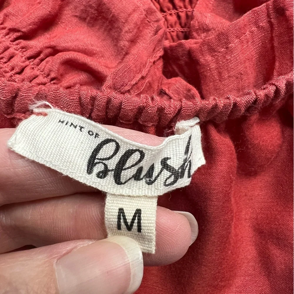 Hint of Blush Crop‎ Peasant Flare Ruffle Sleeve Boho Top